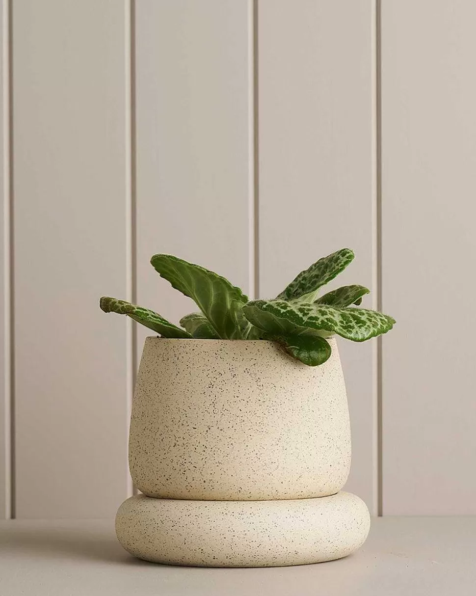 Planters & Watering Cans-Robert Gordon Small Cloud Planter / White Speckle