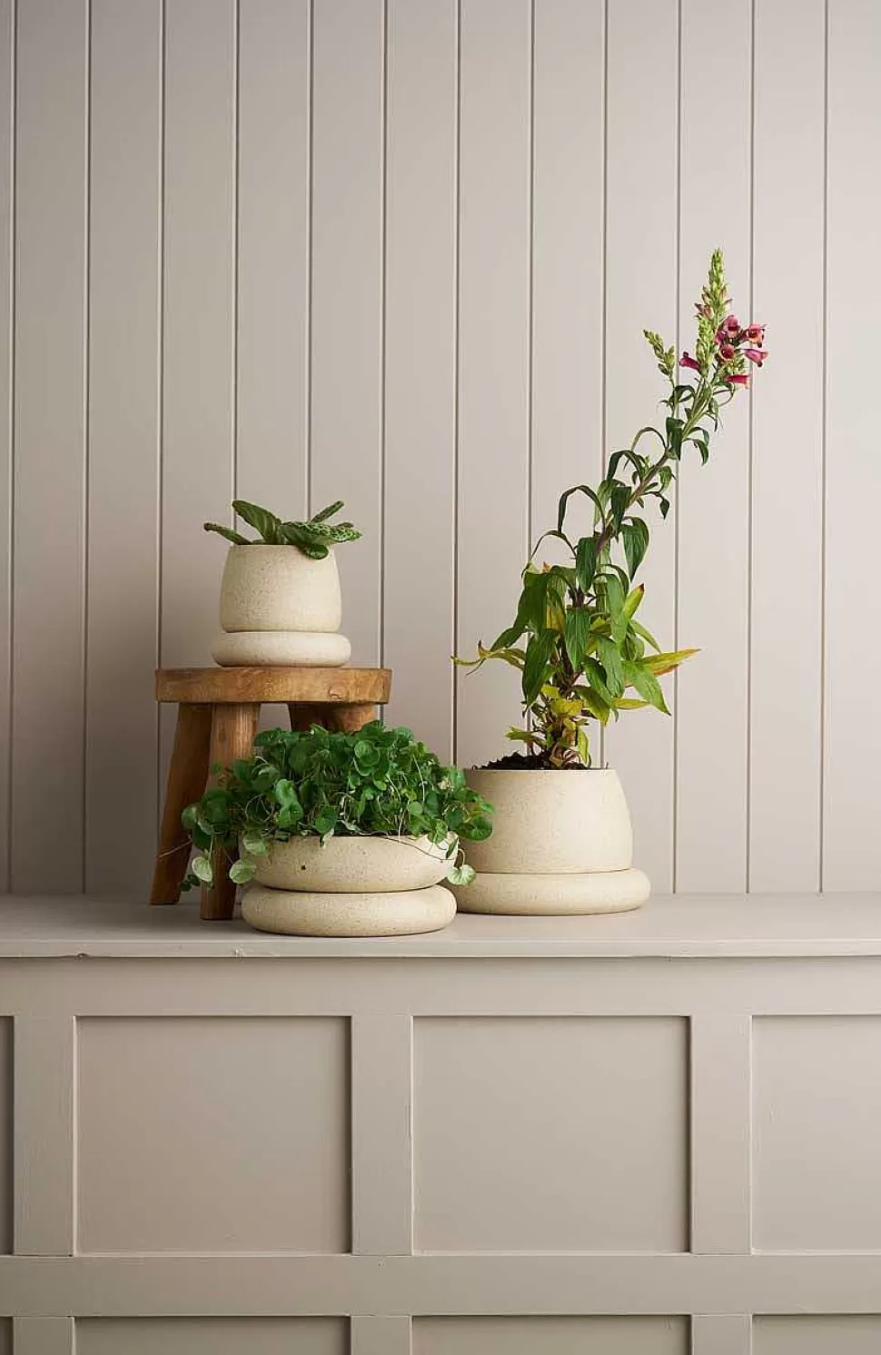 Planters & Watering Cans-Robert Gordon Wide Cloud Planter / White Speckle